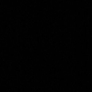 Meet your Posher, Nicki